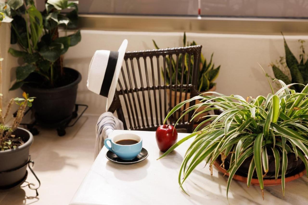 Jolly Suites كاندية المظهر الخارجي الصورة